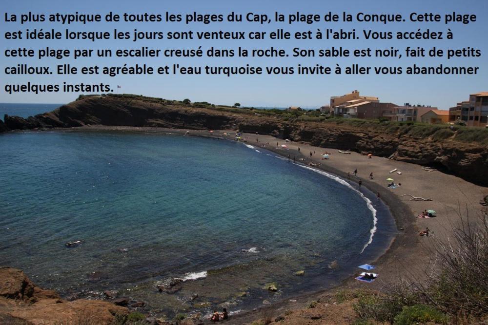 Cap D'Agde 300M Plage Du Mole,Vue Port,Parking,Lave Linge,Piscine Apartment Екстериор снимка